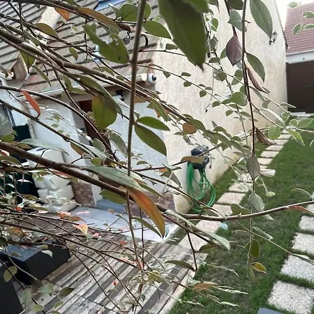 Appartement Airport Cdg - Asterix - Parc Des Expo *